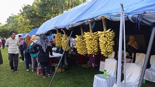 Dinas Kesehatan Pekanbaru bagi-bagi sayur dan buah gratis untuk masyarakat di Car Free Day (foto/rinai)